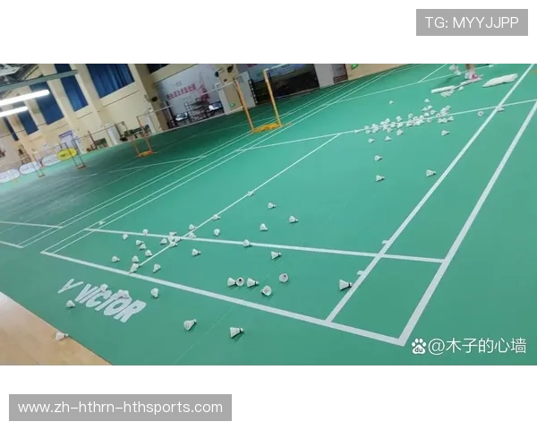 羽毛球横拍竖排